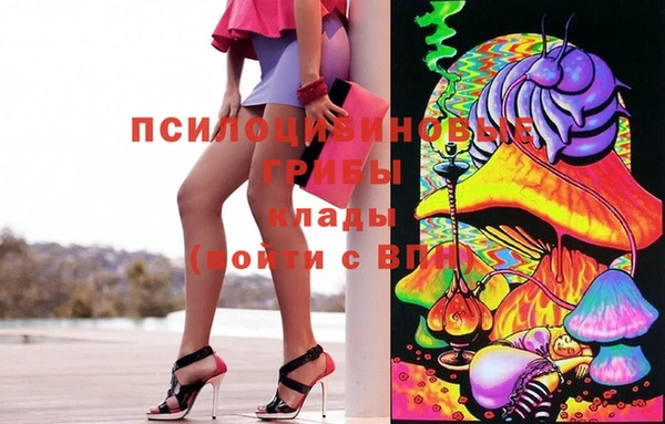 дживик Бородино