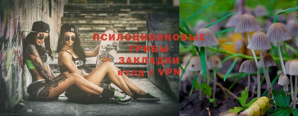 прущая мука Белокуриха
