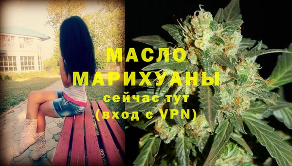 молекула духа Богданович