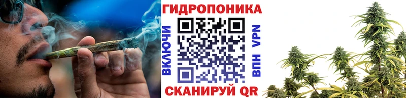 Бошки Шишки SATIVA & INDICA Вуктыл